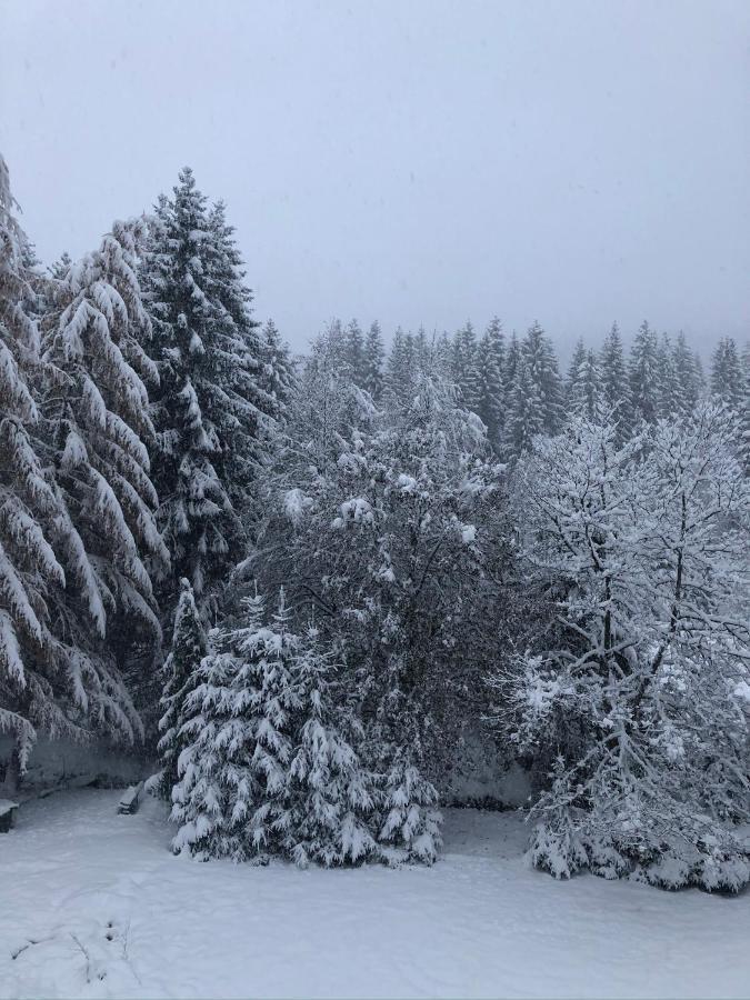 Le Chalet Du Narouel Gerardmer Bagian luar foto
