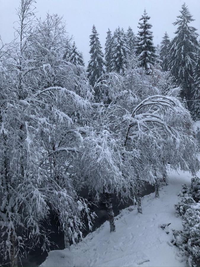 Le Chalet Du Narouel Gerardmer Bagian luar foto